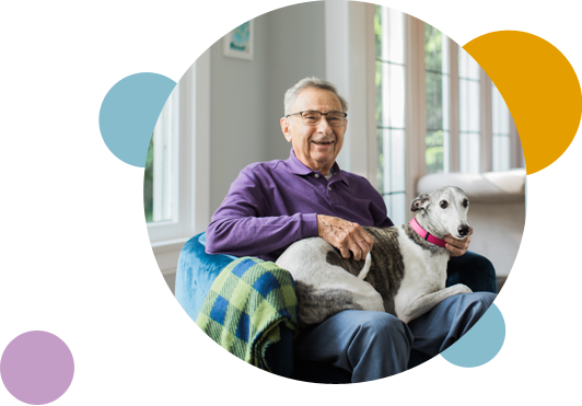 pet-care-v4 Pet-care