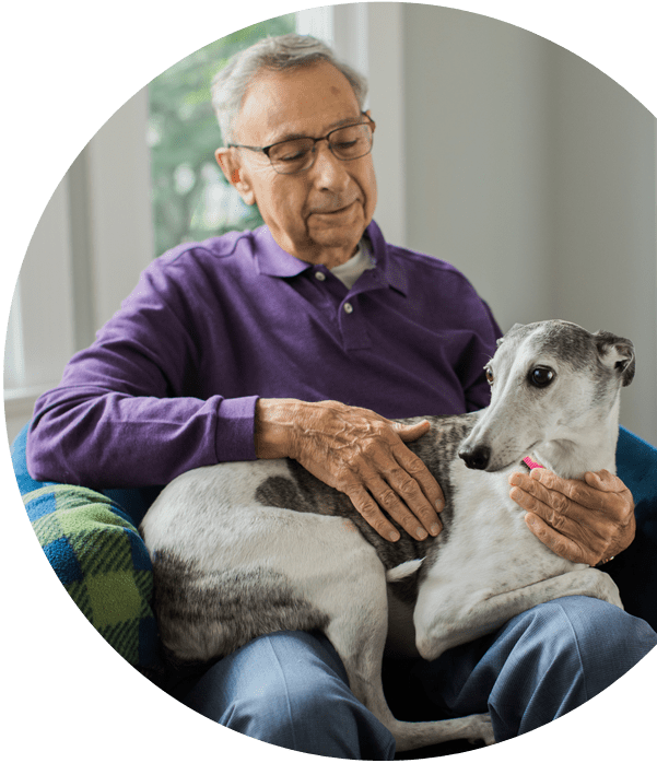 STAYING AT HOME WITH PET CARE