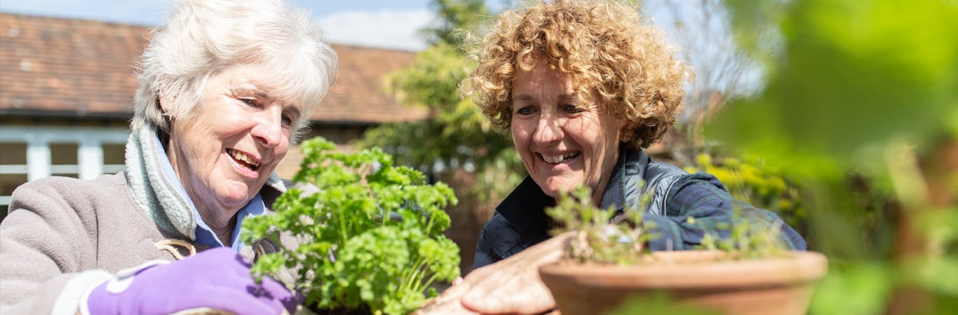 domiciliary care_carer doing the gardening with a patient