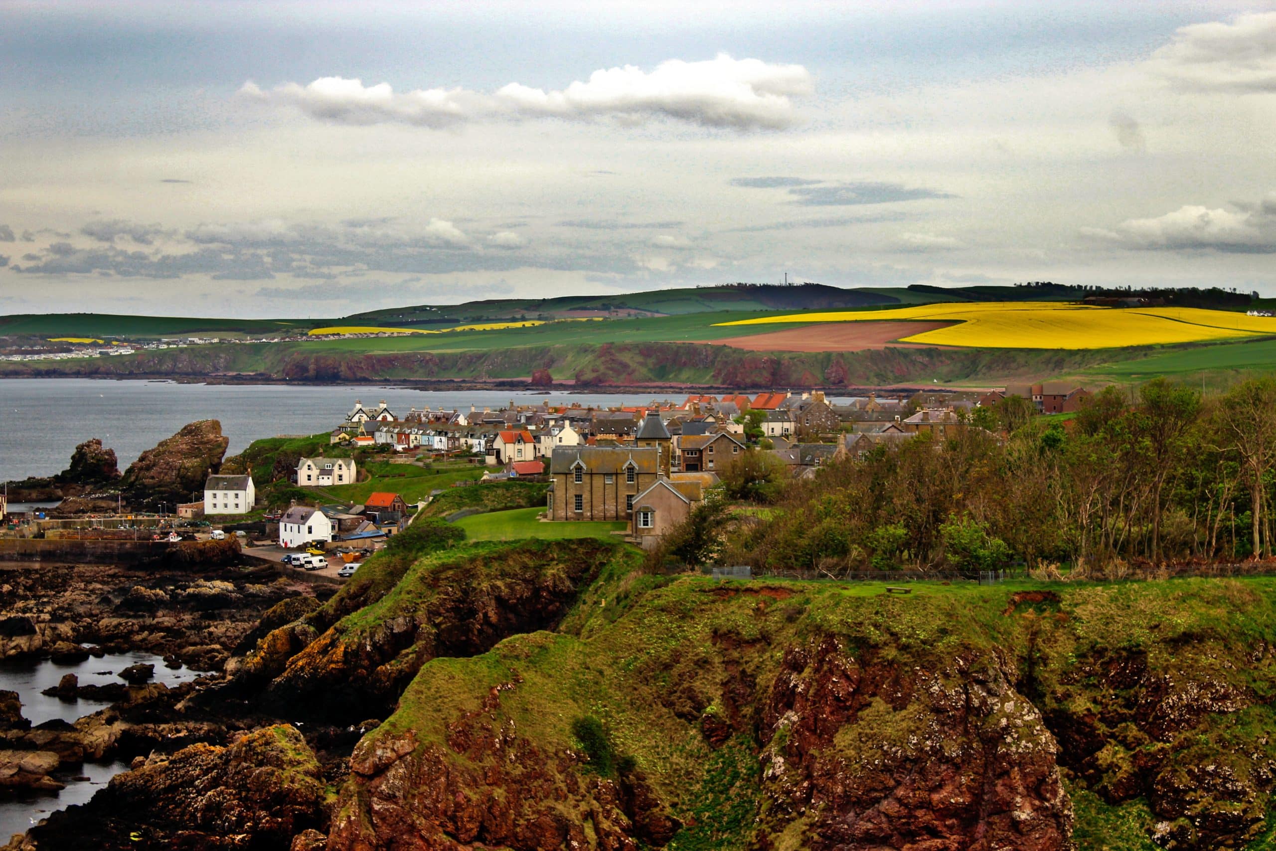 pexels-johny-rebel-the-explorer-panda-12192331