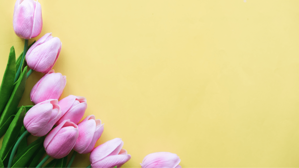 international-womens-day