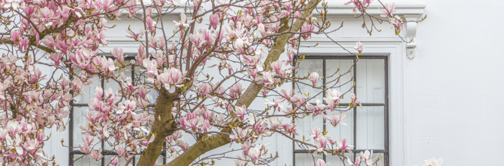 exercises-for-elderly-banner