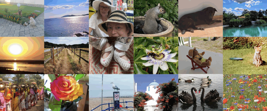 Collage of photos for Photography Day 2025