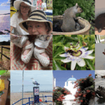 Collage of photos for Photography Day 2025