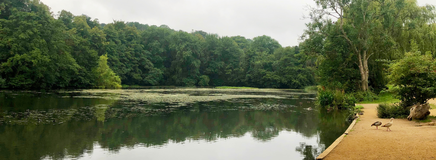 Priory Park, Reigate