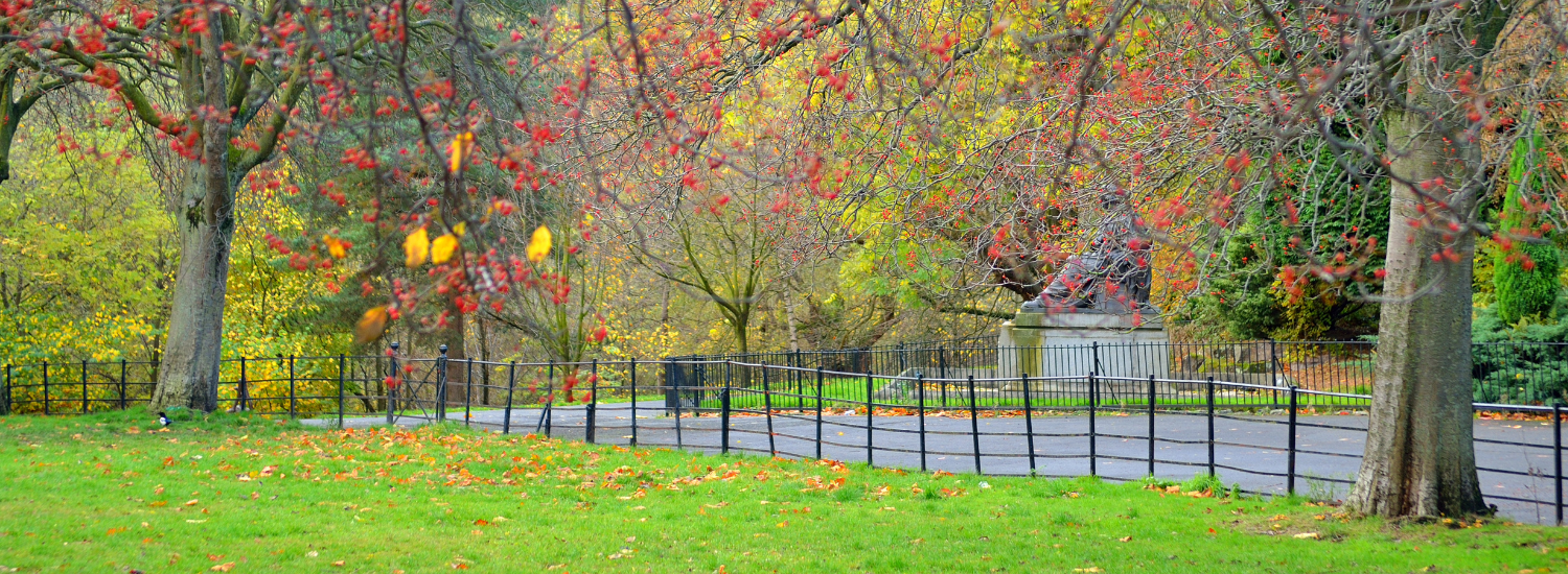 Expert home care company providing personalised support in Bearsden, Glasgow.