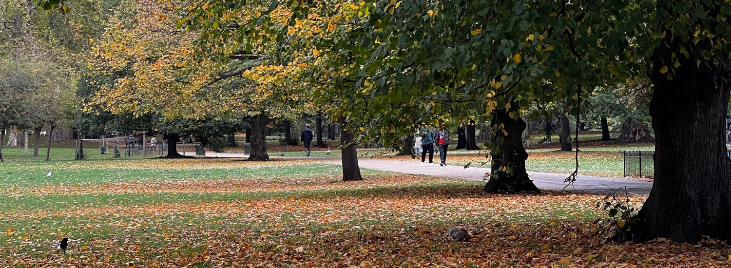 Expert home care company providing personalised support in Brixton, London, England.