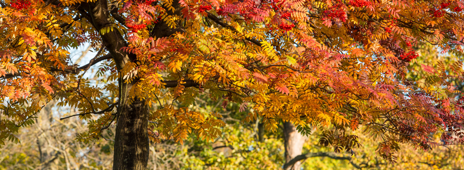Expert home care company providing personalised support in Bruntsfield, Edinburgh.