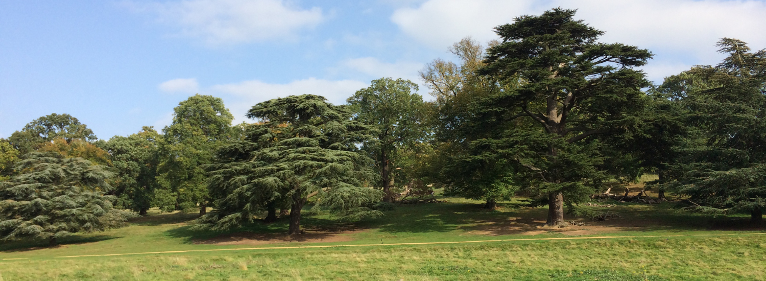Expert home care company providing personalised support in Camberwell, London, England.