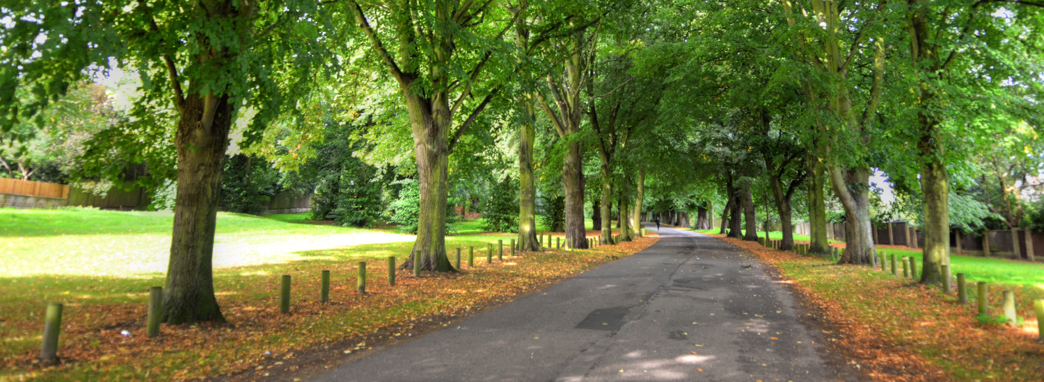 Expert home care company providing personalised support in Earl's Court, London, England.