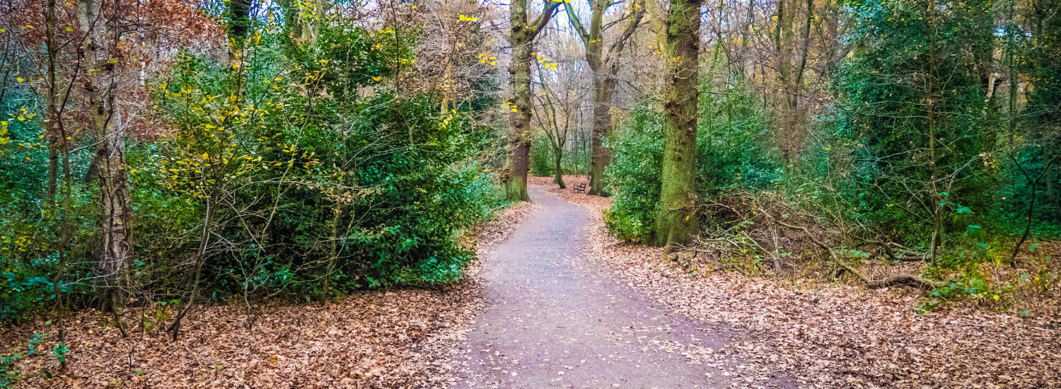 Expert home care company providing personalised support in Highgate, London, England.