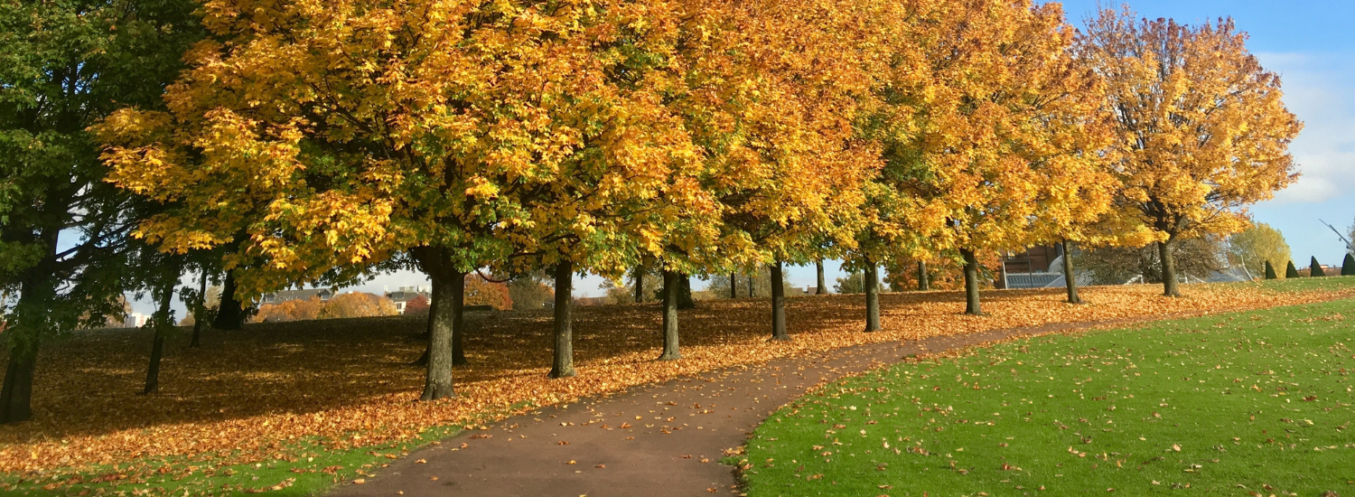 Expert home care company offering personalised care in Kelvinside, Glasgow, Scotland.