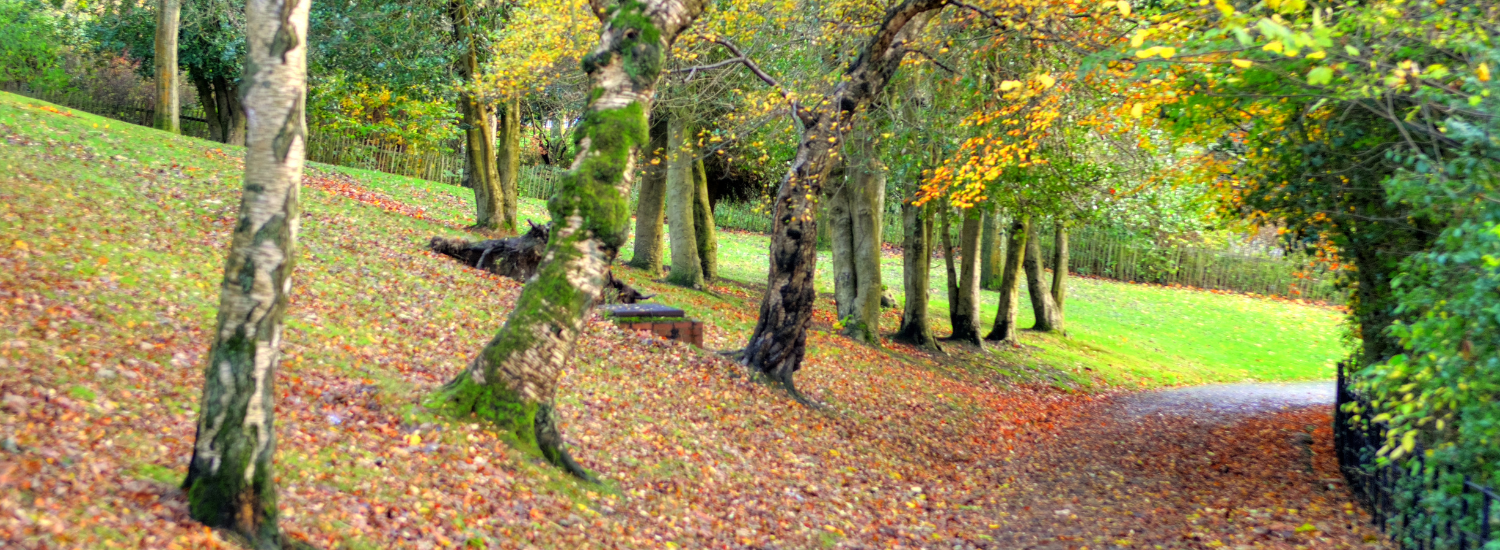 Expert home care company providing personalised support in Newton Mearns, Scotland.