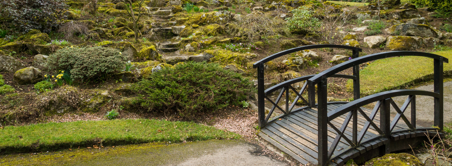 Expert home care company providing compassionate support in Rubislaw, Aberdeen, Scotland.