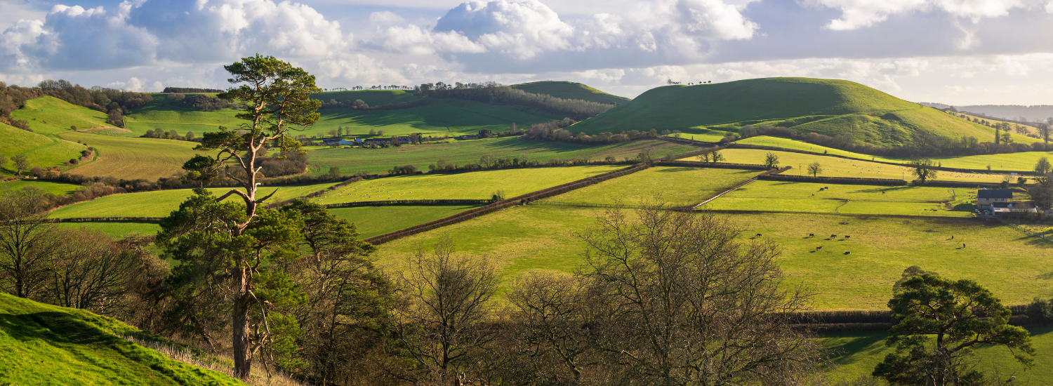 Expert respite care company providing personalised short-term support in Somerset.