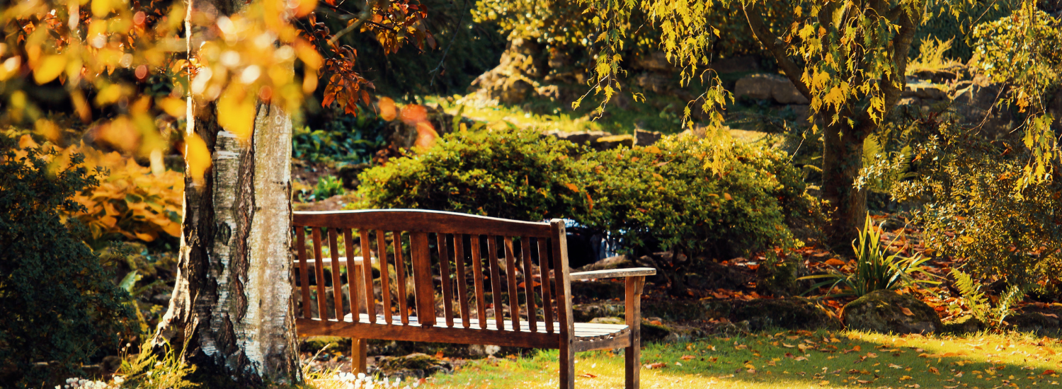Expert home care company providing personalised support in Stoke Newington, London, England.