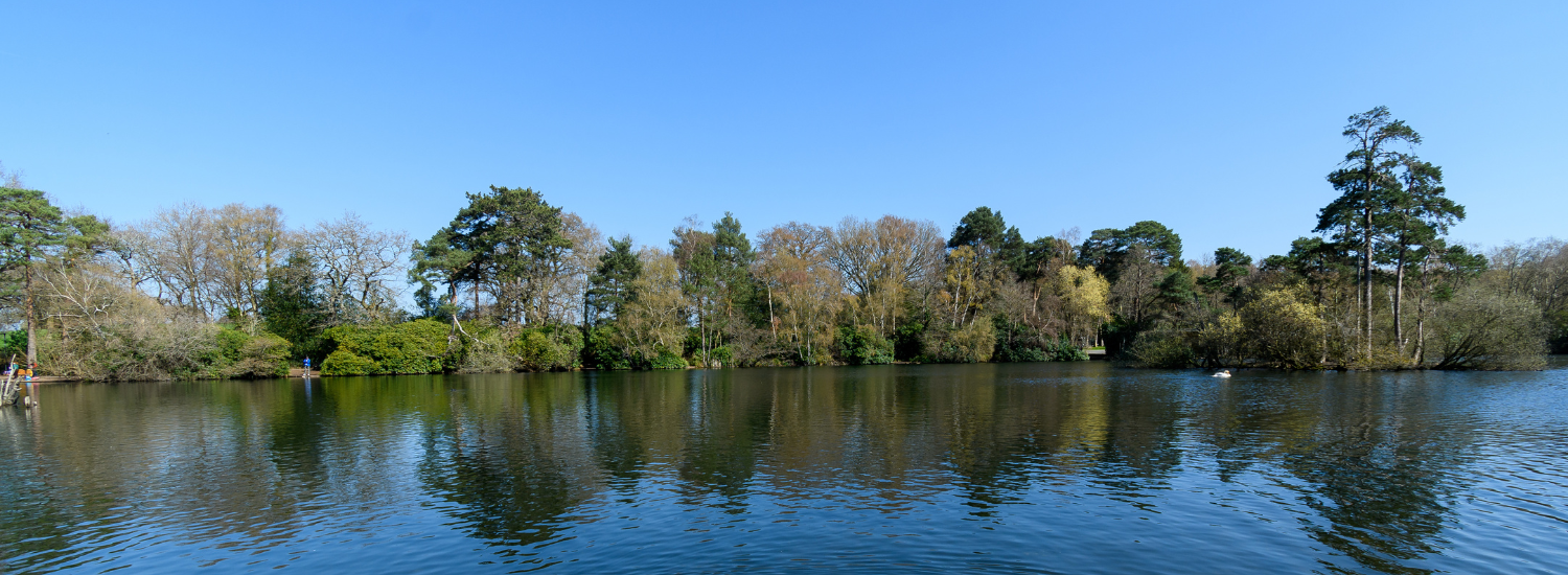 Trusted live-in care providing one-to-one support in Wokingham.